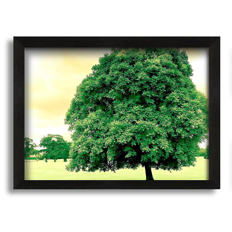 Brayden Studio Green Tree Picture Frame Photograph on Canvas